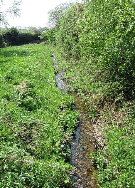 A narrow stream running between grass banks and thick hedgerow